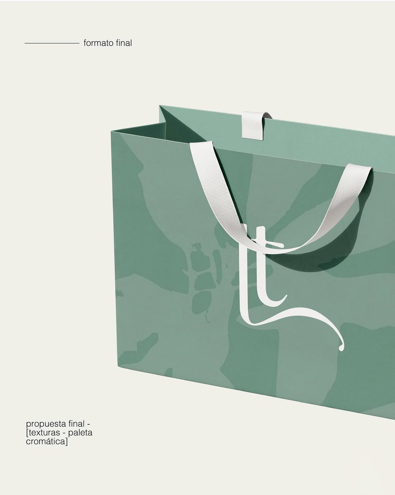 Packaging bolsa verde